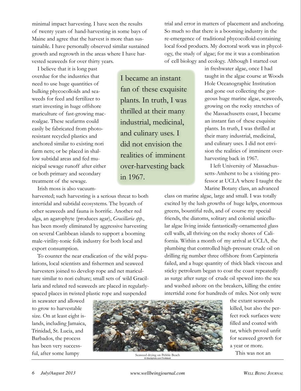 Well Being Journal Preview Pages