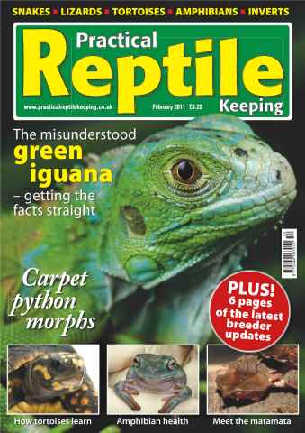 Practical Reptile Keeping issue No.21 Iguana's & Python Morphs
