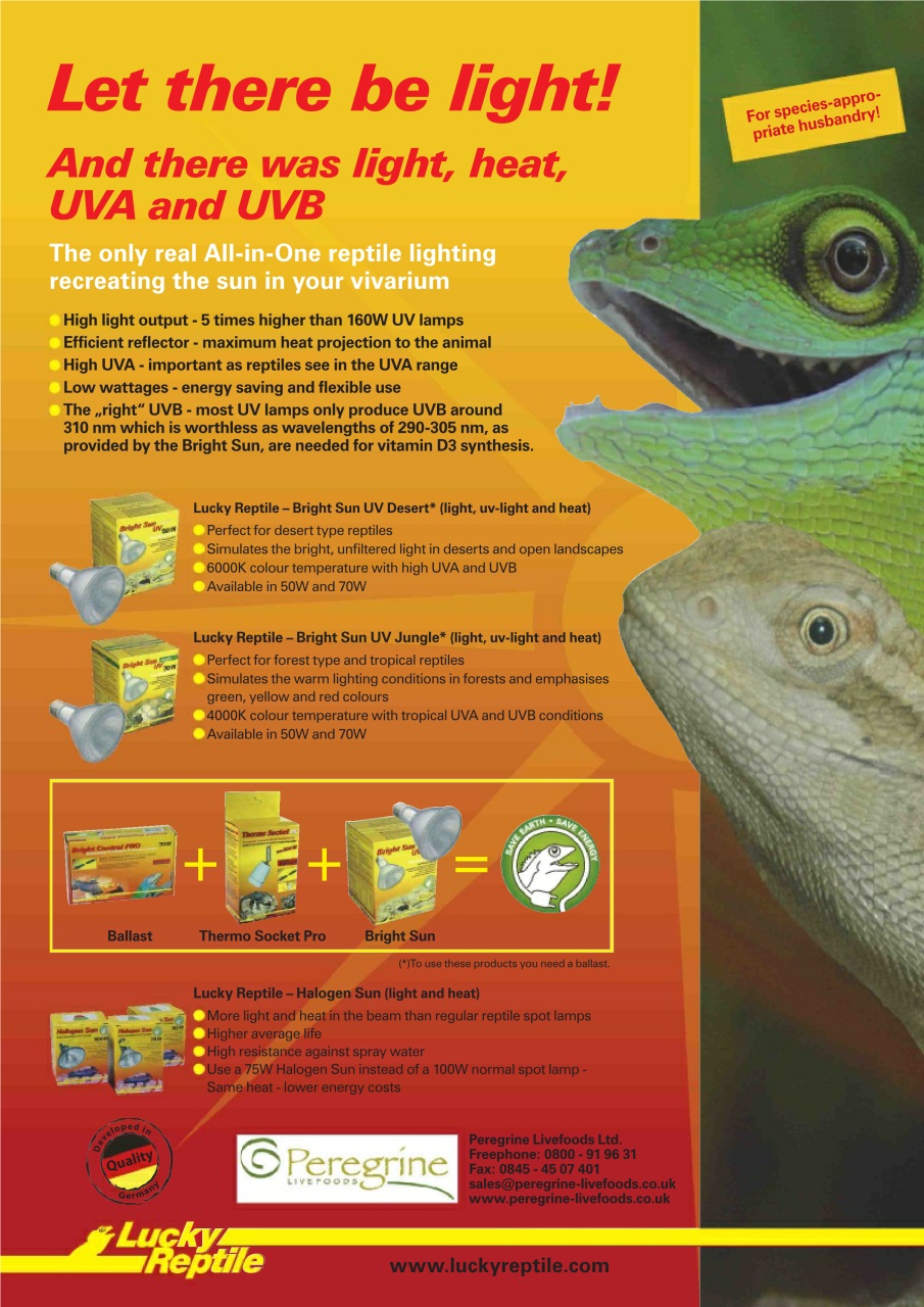 Practical Reptile Keeping Preview Pages