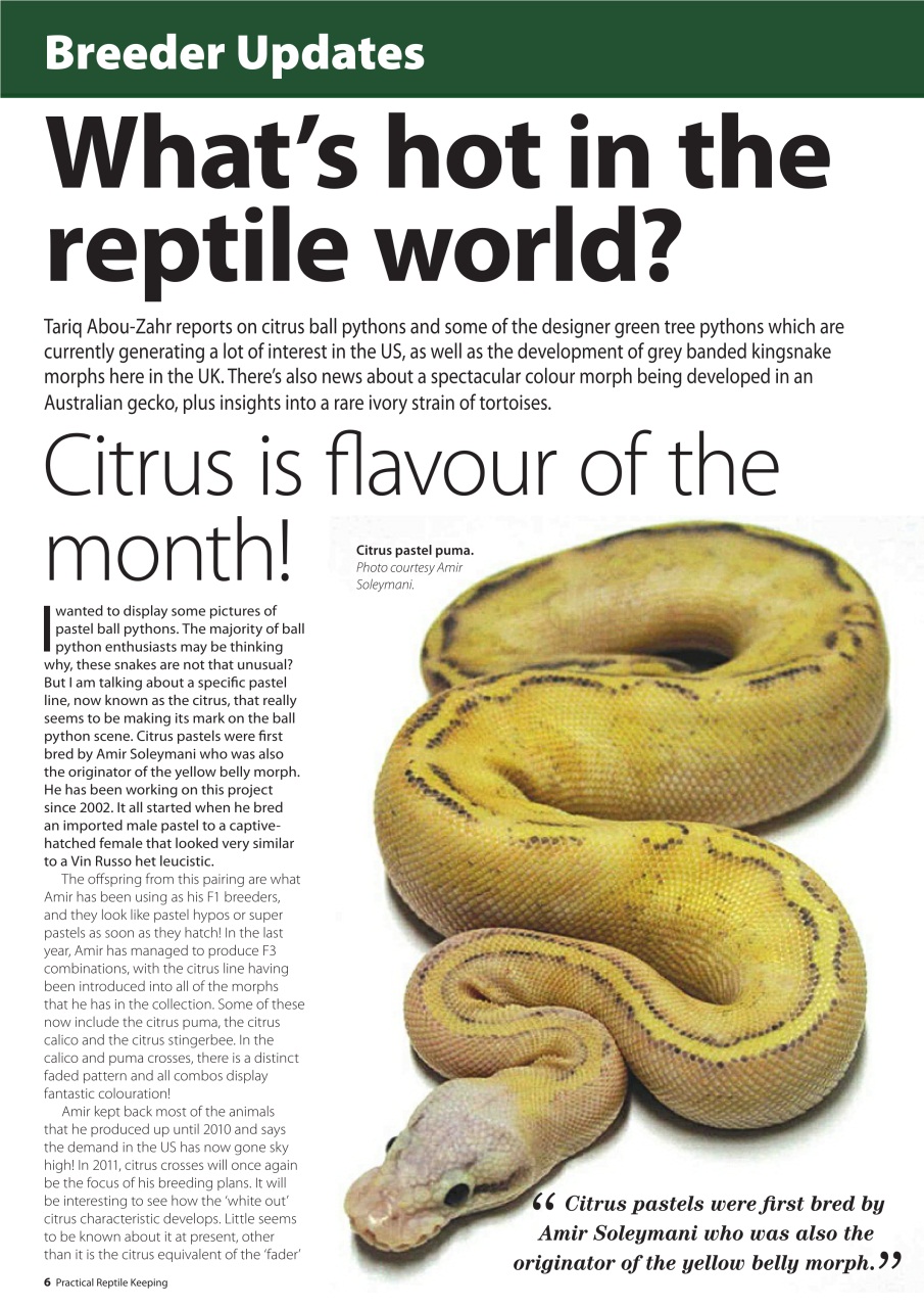 Practical Reptile Keeping Preview Pages