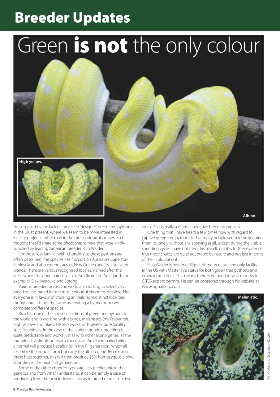 Practical Reptile Keeping Preview Pages
