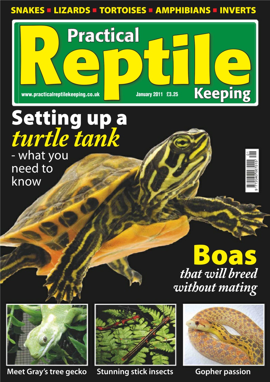 Practical Reptile Keeping Preview Pages