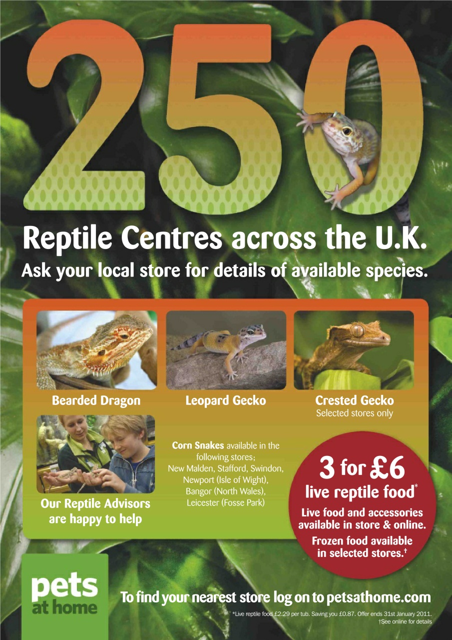 Practical Reptile Keeping Preview Pages