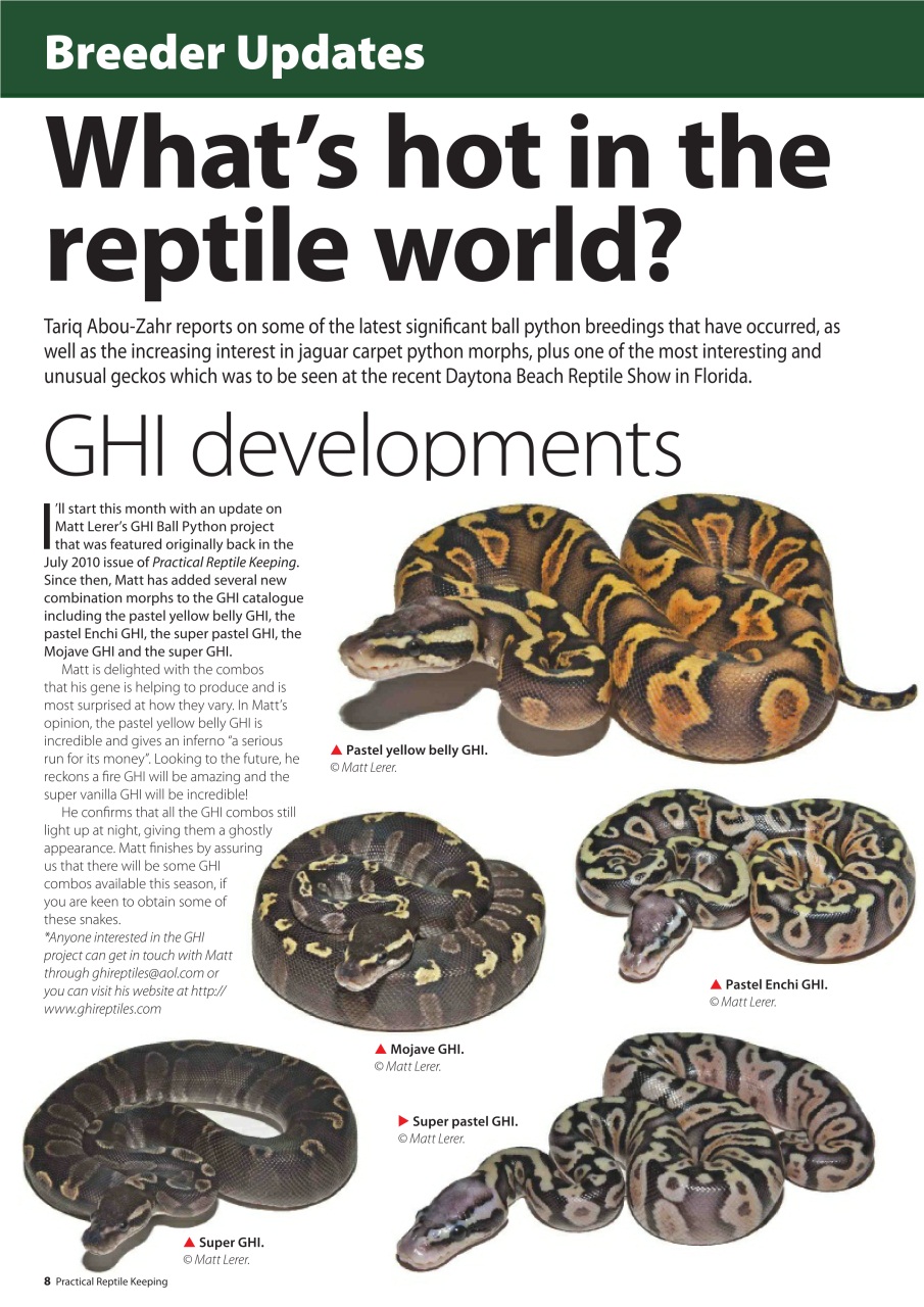 Practical Reptile Keeping Preview Pages