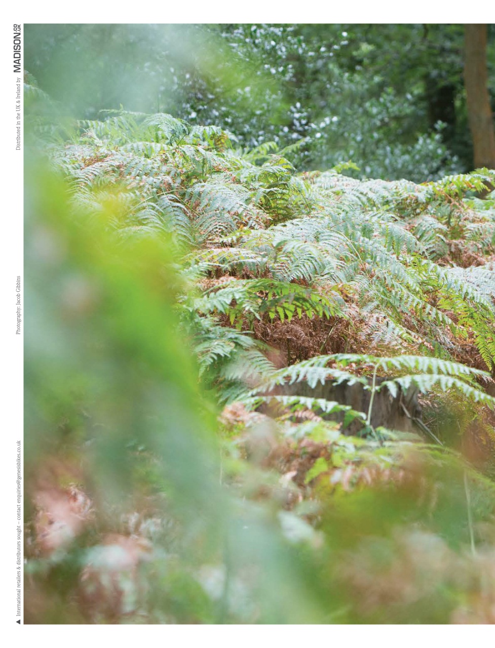 Singletrack Preview Pages