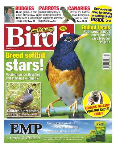 Cage & Aviary Birds issue Cage & Aviary 5 June 2013