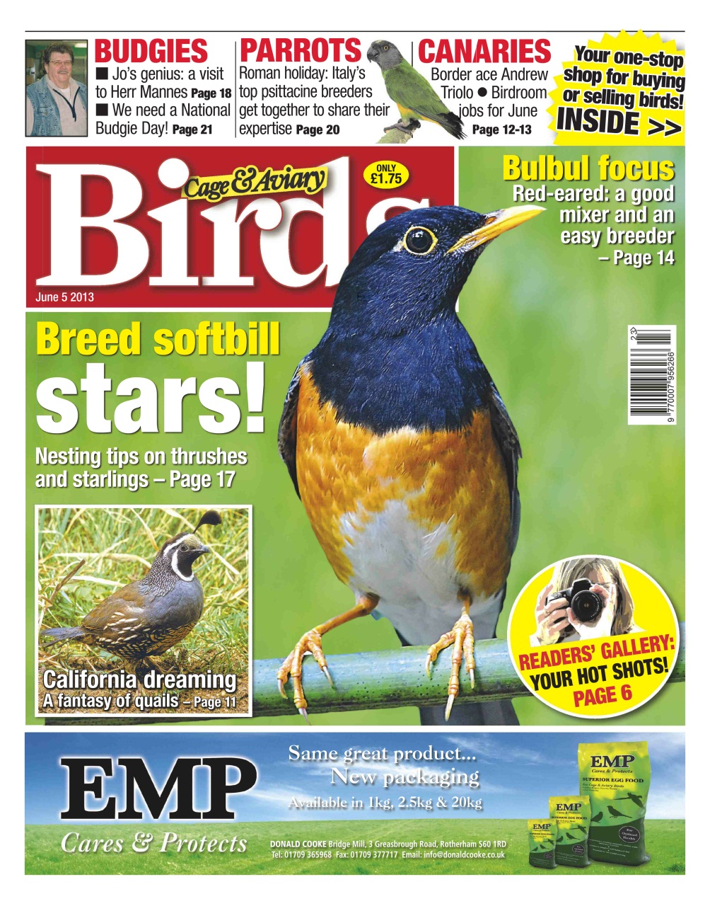 Cage & Aviary Birds Preview Pages