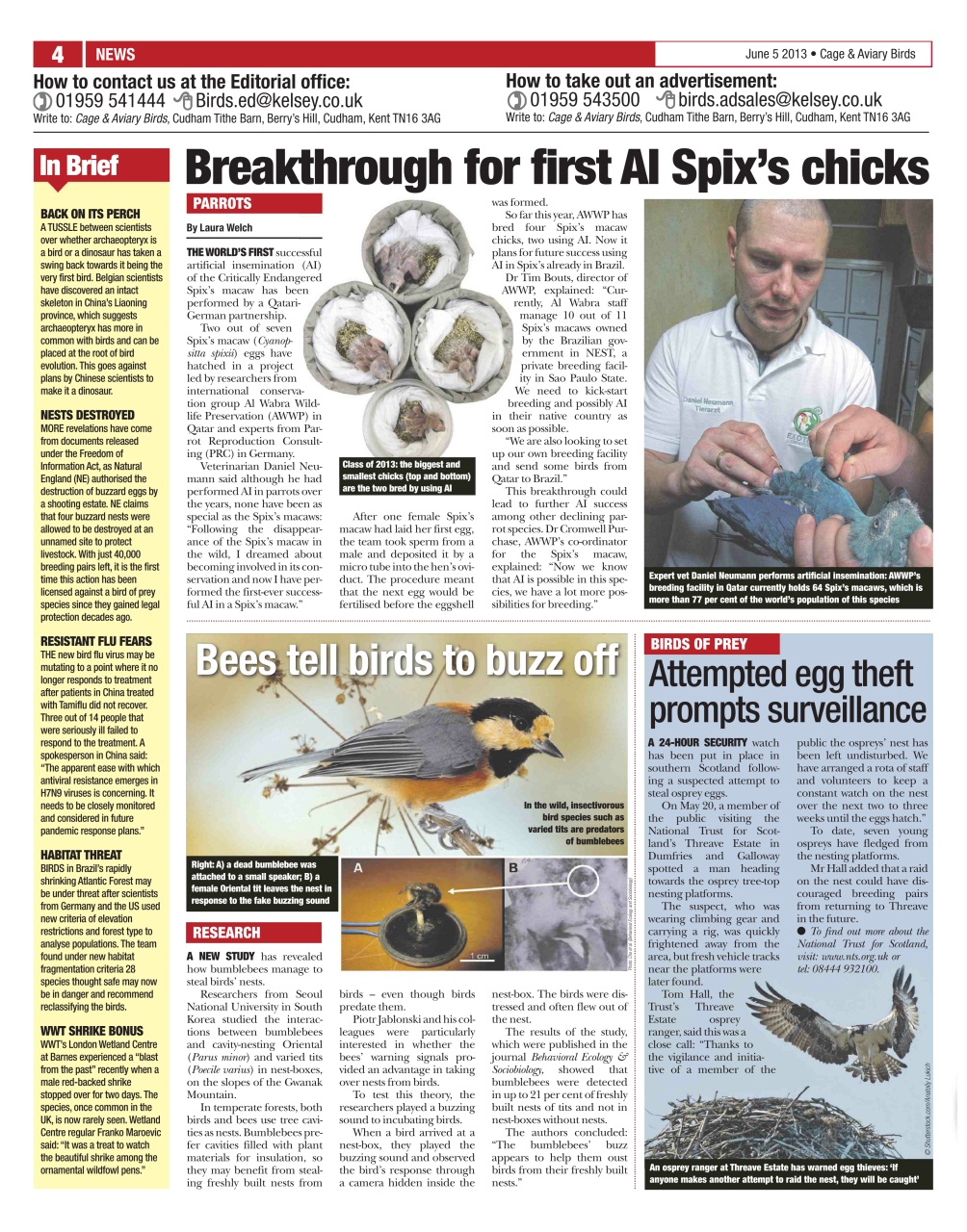 Cage & Aviary Birds Preview Pages