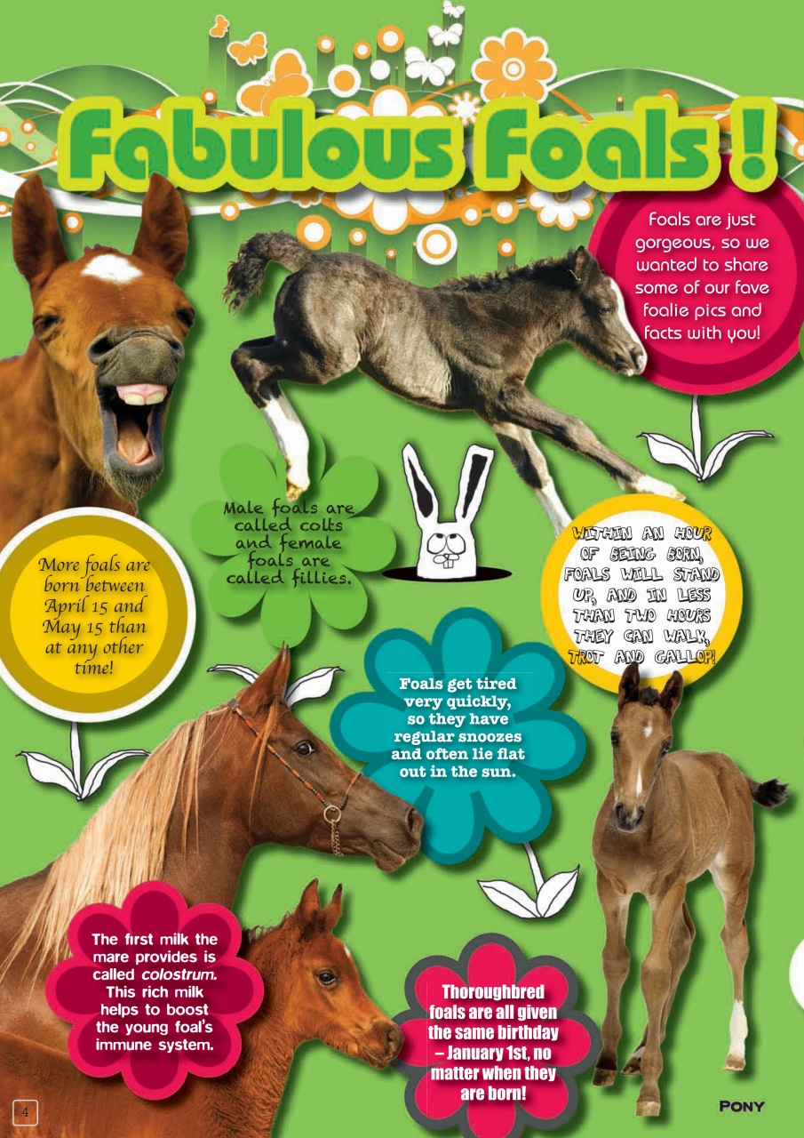 Pony Magazine Preview Pages