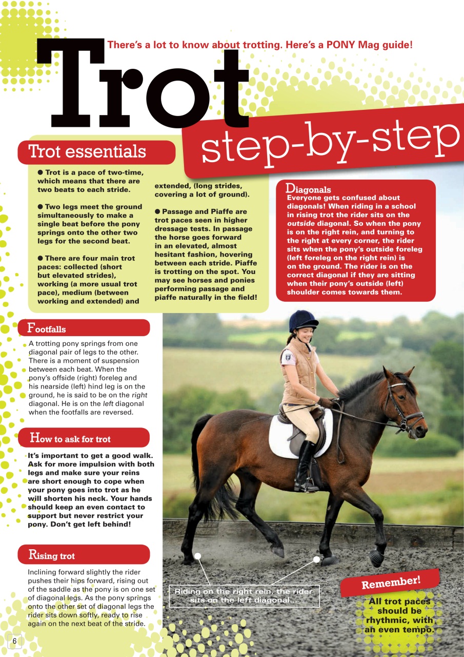 Pony Magazine Preview Pages