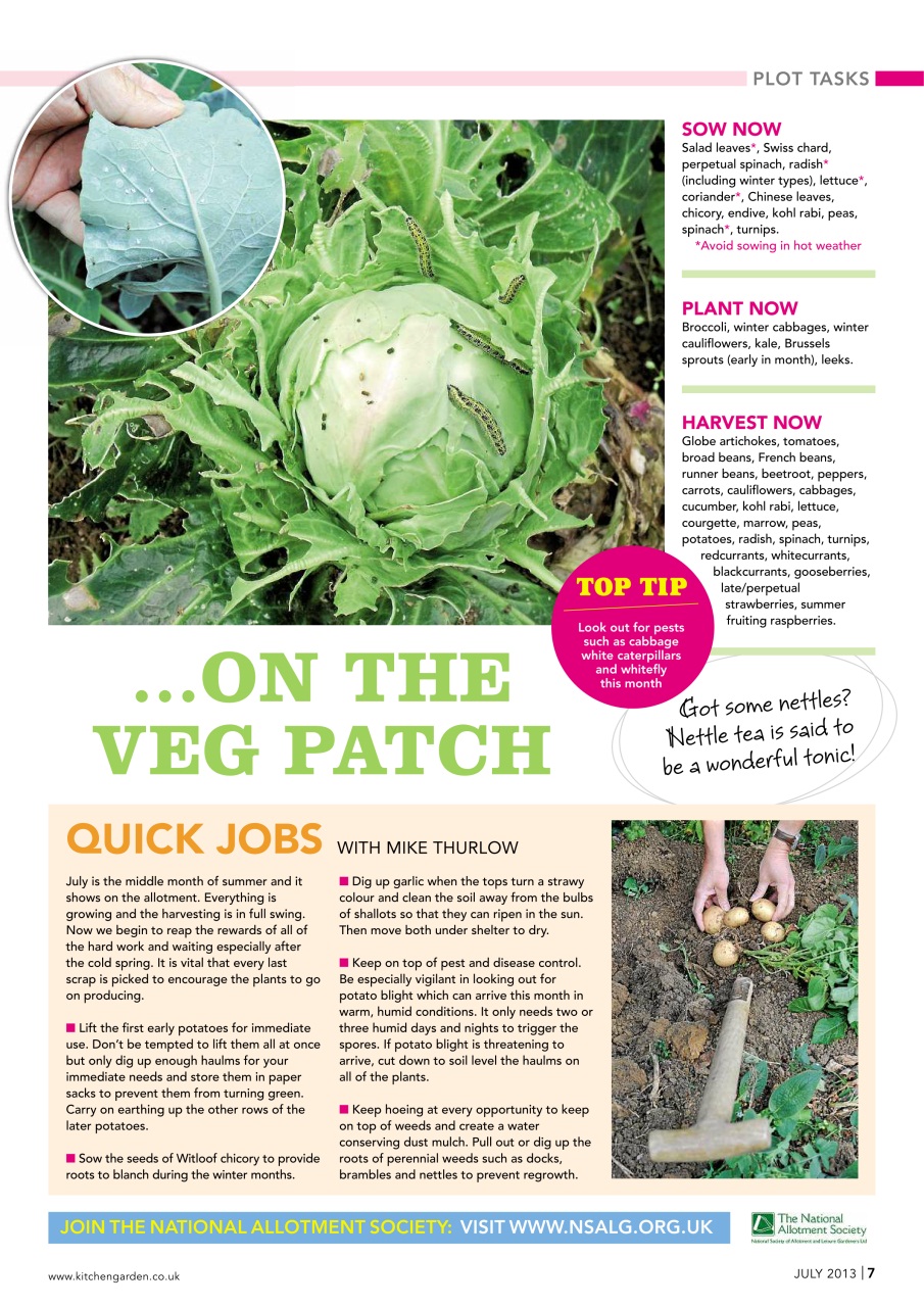 Kitchen Garden Magazine Preview Pages