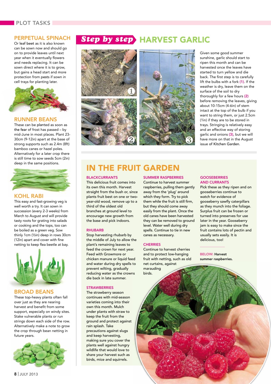 Kitchen Garden Magazine Preview Pages