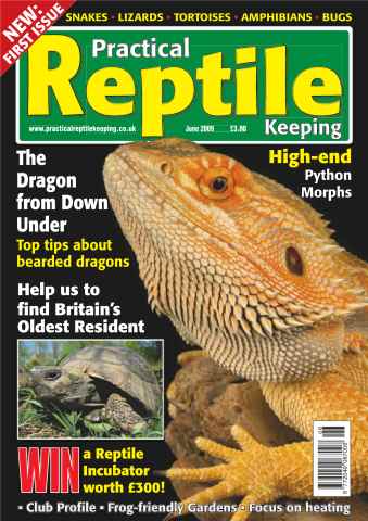 Practical Reptile Keeping issue No.1 Dragons & Python Morphs