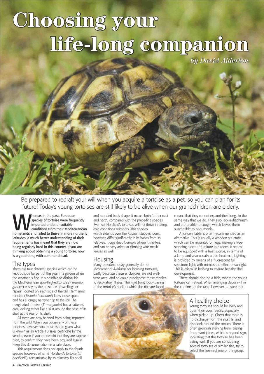 Practical Reptile Keeping Preview Pages