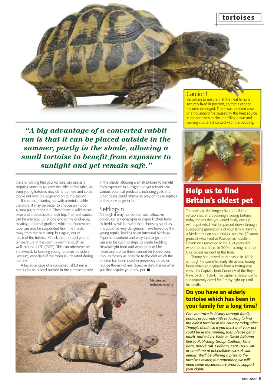 Practical Reptile Keeping Preview Pages