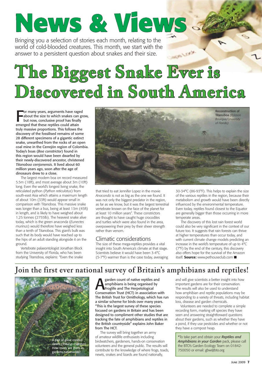 Practical Reptile Keeping Preview Pages