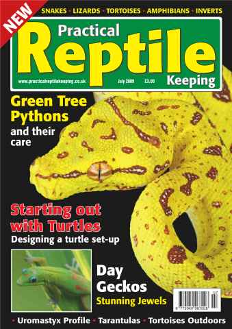 Practical Reptile Keeping issue No.2 UromastyxGreen Tree Python