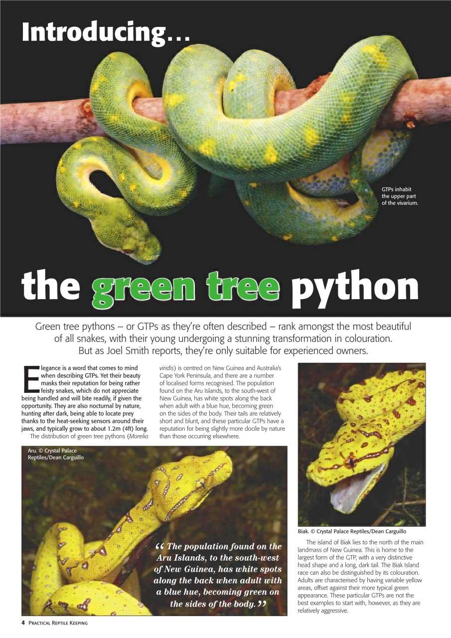 Practical Reptile Keeping Preview Pages