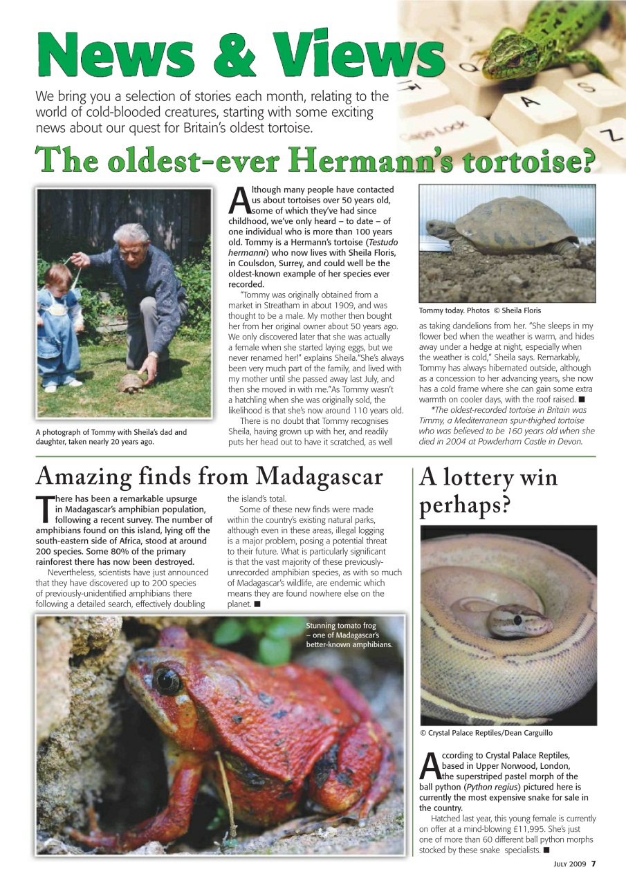 Practical Reptile Keeping Preview Pages