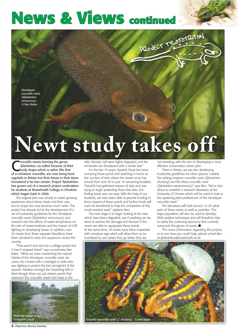 Practical Reptile Keeping Preview Pages