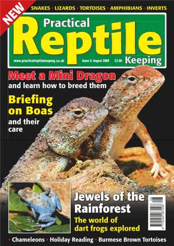 Practical Reptile Keeping issue No.3 Mini Dragons & Dart Frogs
