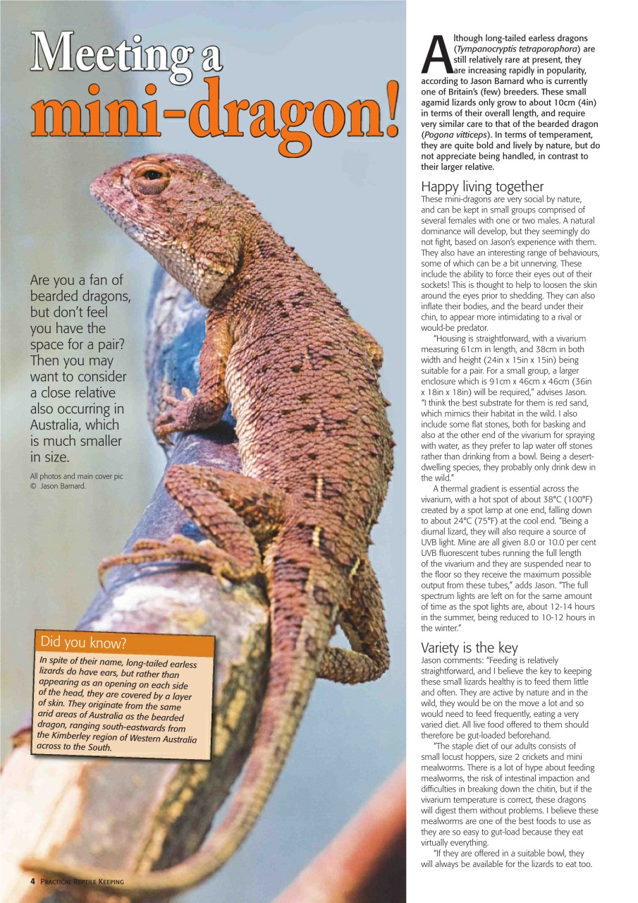 Practical Reptile Keeping Preview Pages