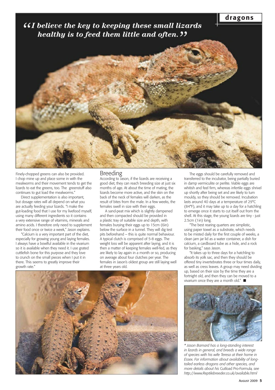 Practical Reptile Keeping Preview Pages