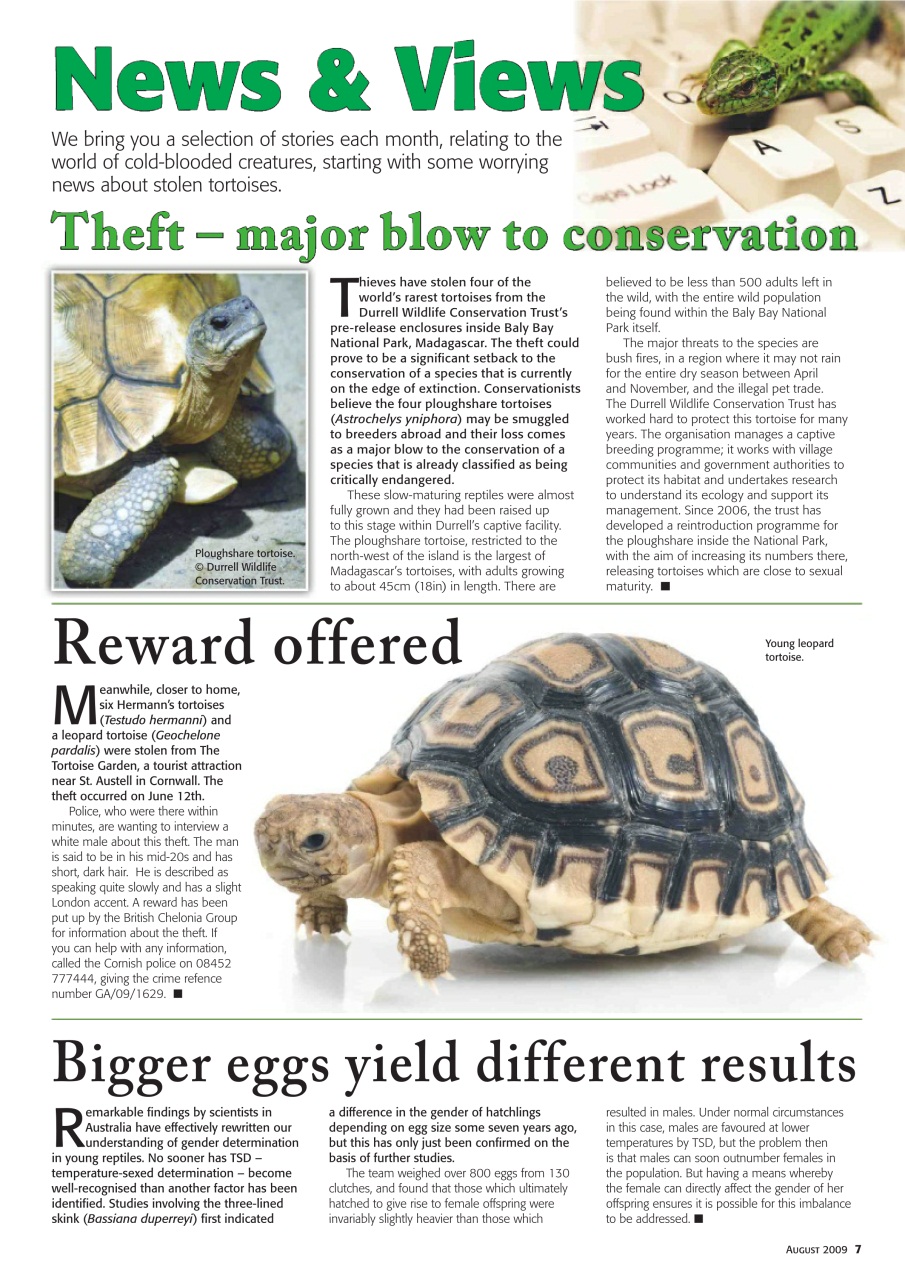 Practical Reptile Keeping Preview Pages