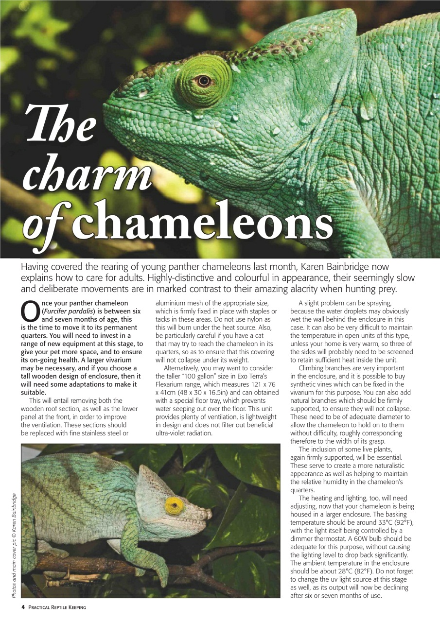 Practical Reptile Keeping Preview Pages