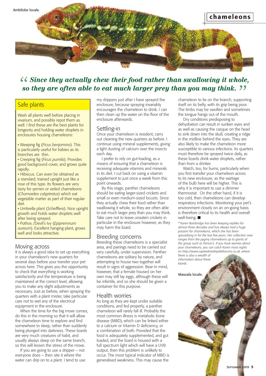 Practical Reptile Keeping Preview Pages