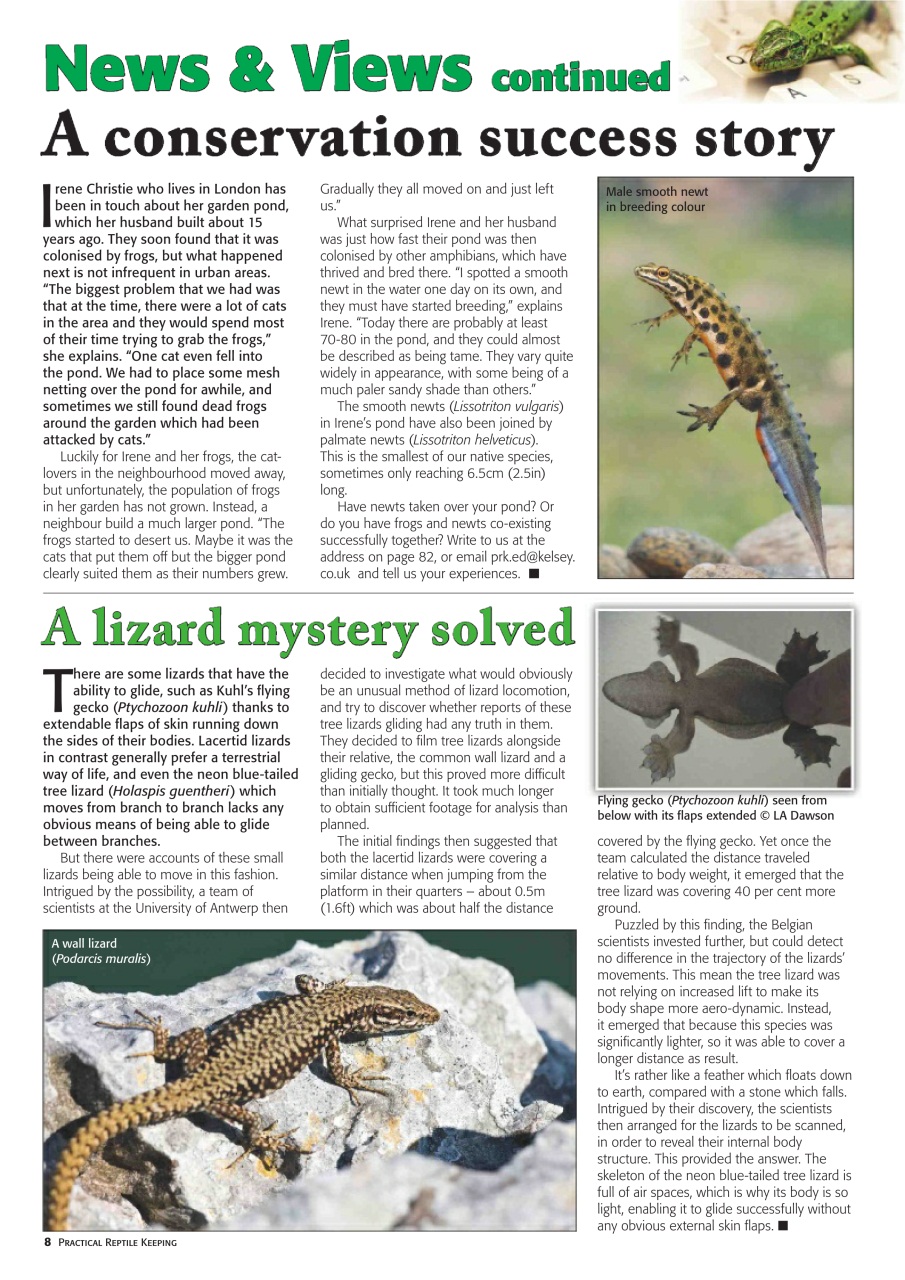 Practical Reptile Keeping Preview Pages