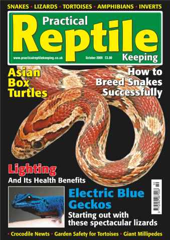 Practical Reptile Keeping issue No.5 Breed Snakes Successfully
