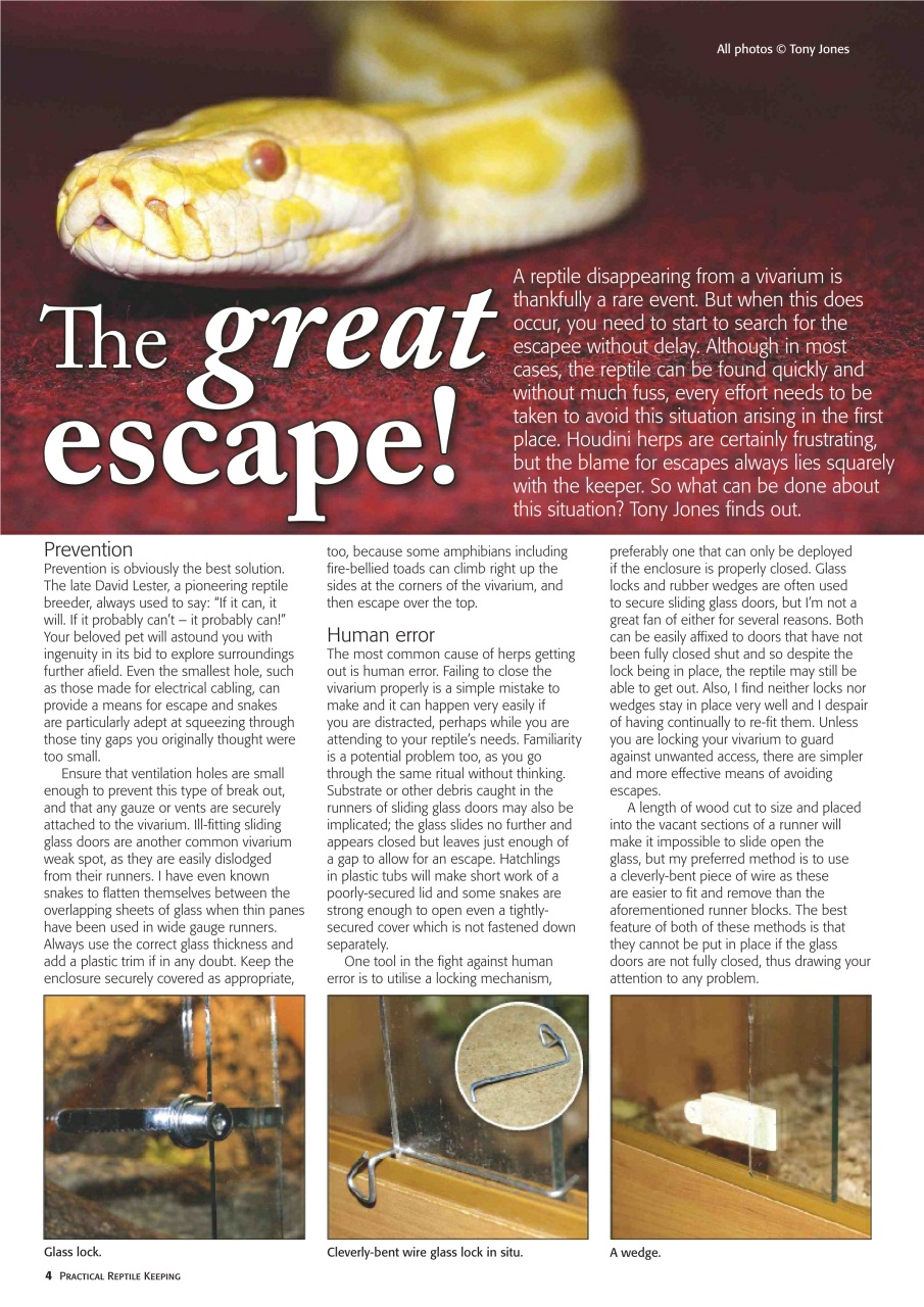 Practical Reptile Keeping Preview Pages