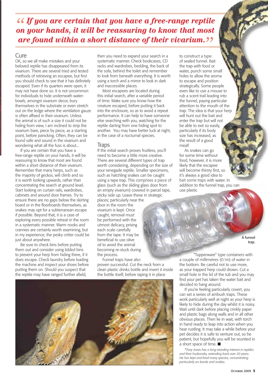 Practical Reptile Keeping Preview Pages