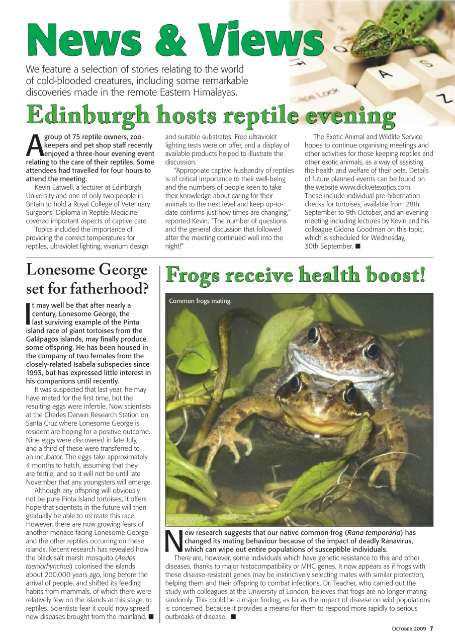 Practical Reptile Keeping Preview Pages