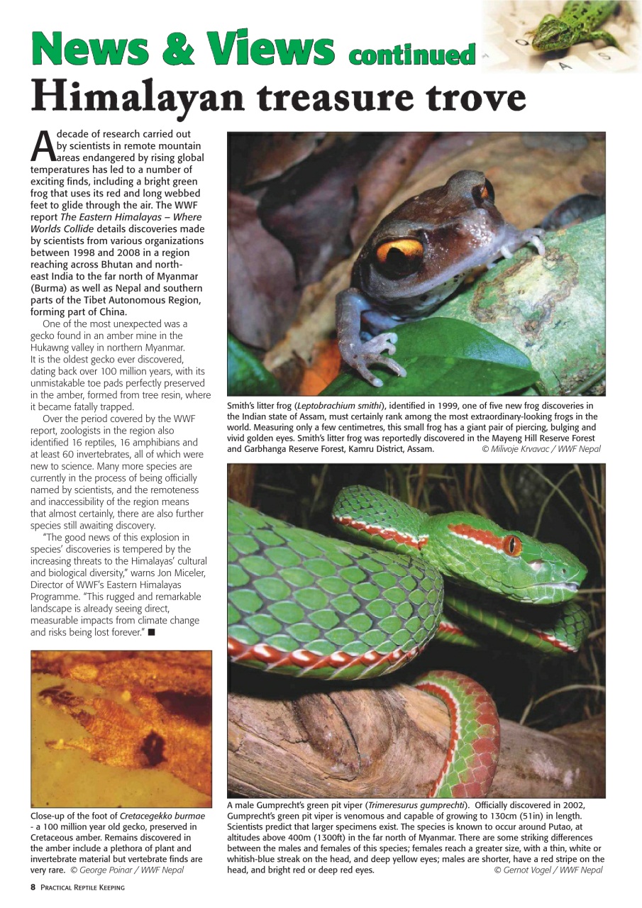 Practical Reptile Keeping Preview Pages