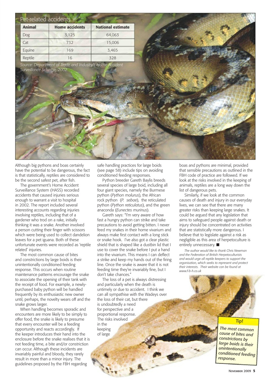 Practical Reptile Keeping Preview Pages