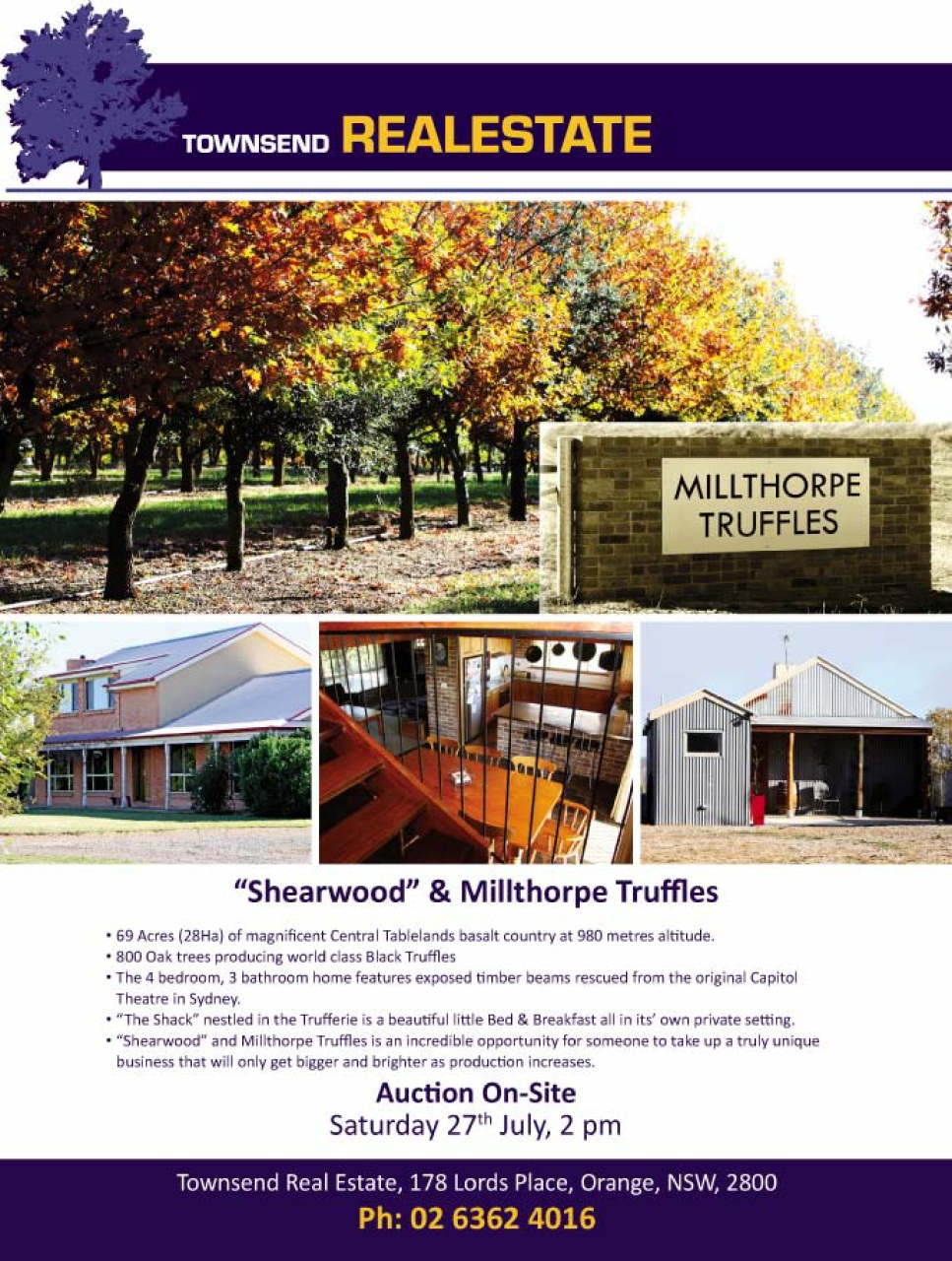 Blue Mountains Life Preview Pages