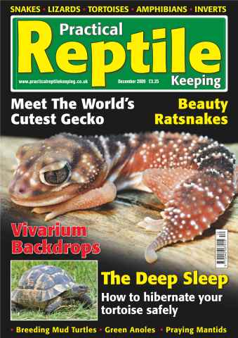 Practical Reptile Keeping issue No.7 Beauty Ratsnake