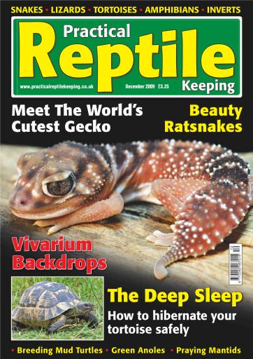 Practical Reptile Keeping issue 