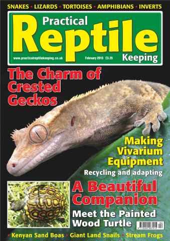 Practical Reptile Keeping issue No.9 Crested Geckos Stream Frog