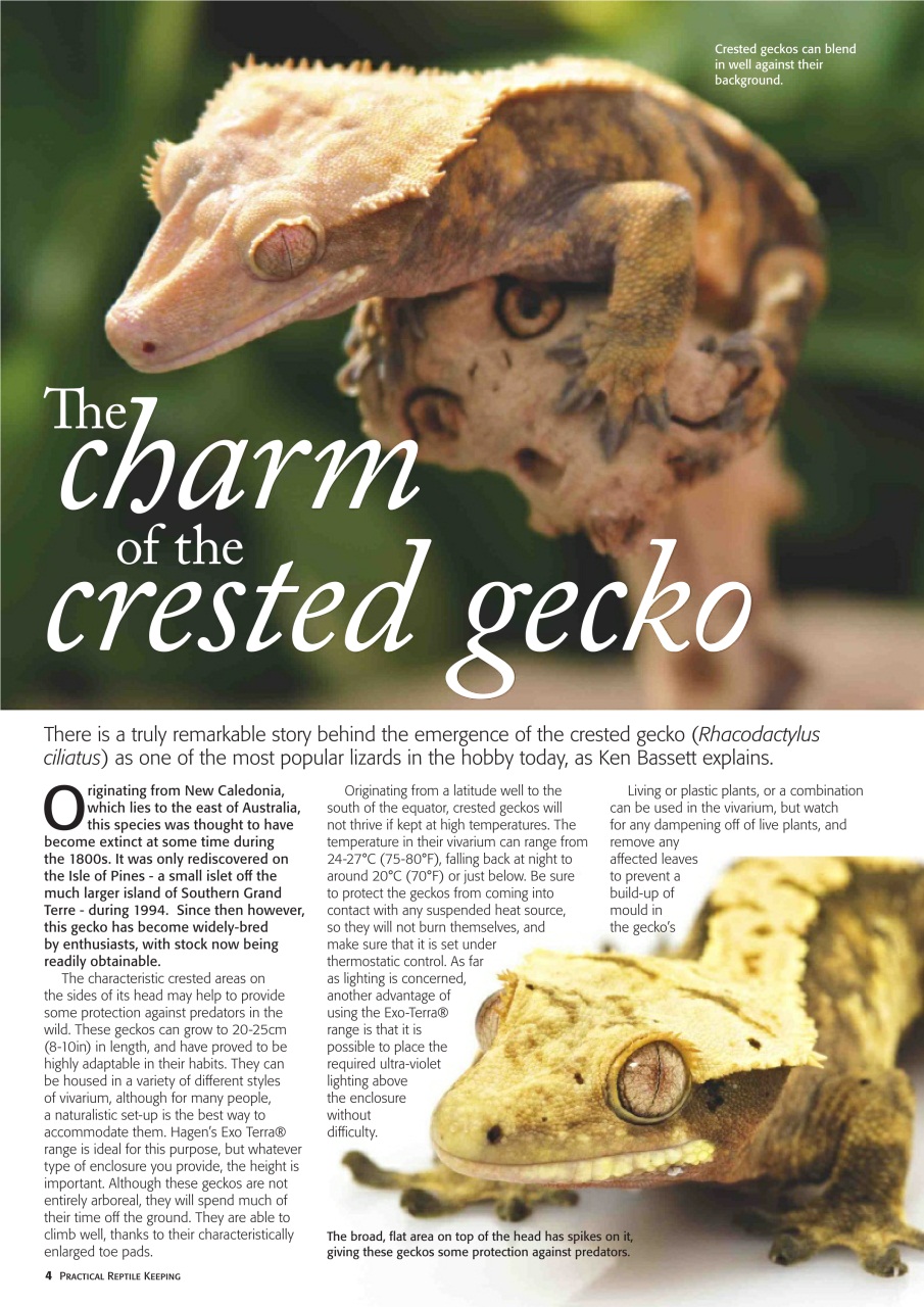 Practical Reptile Keeping Preview Pages