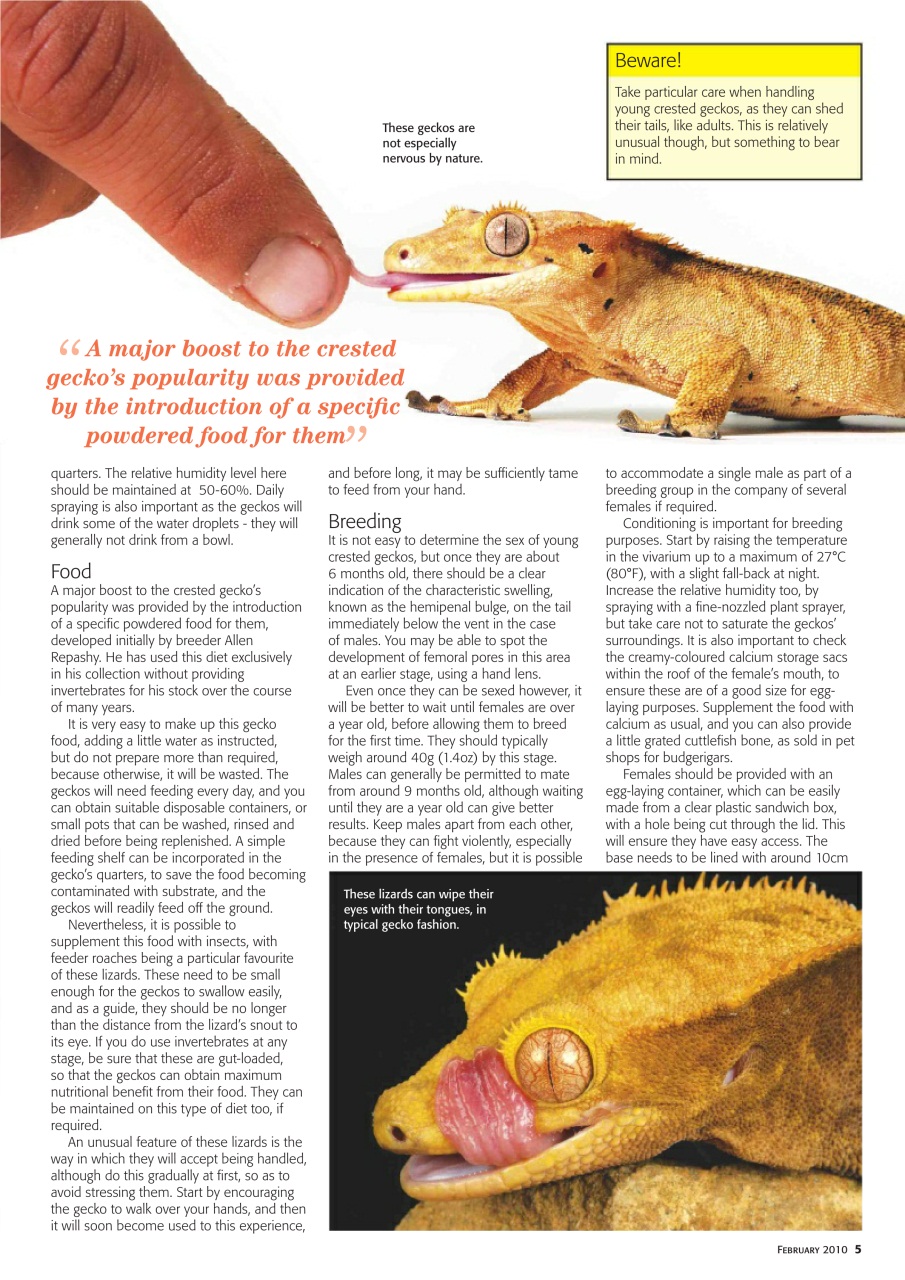Practical Reptile Keeping Preview Pages