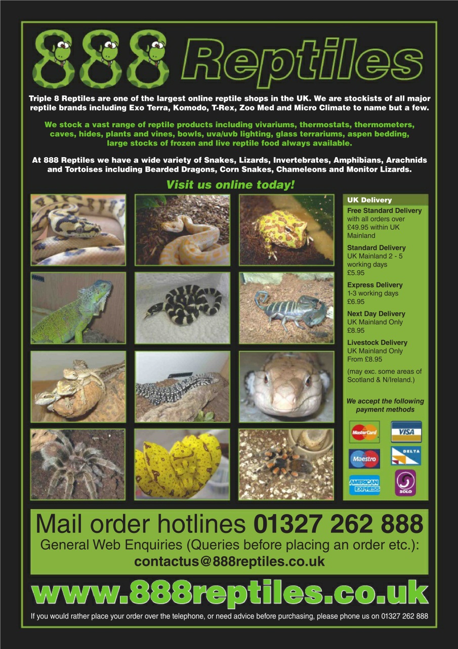 Practical Reptile Keeping Preview Pages