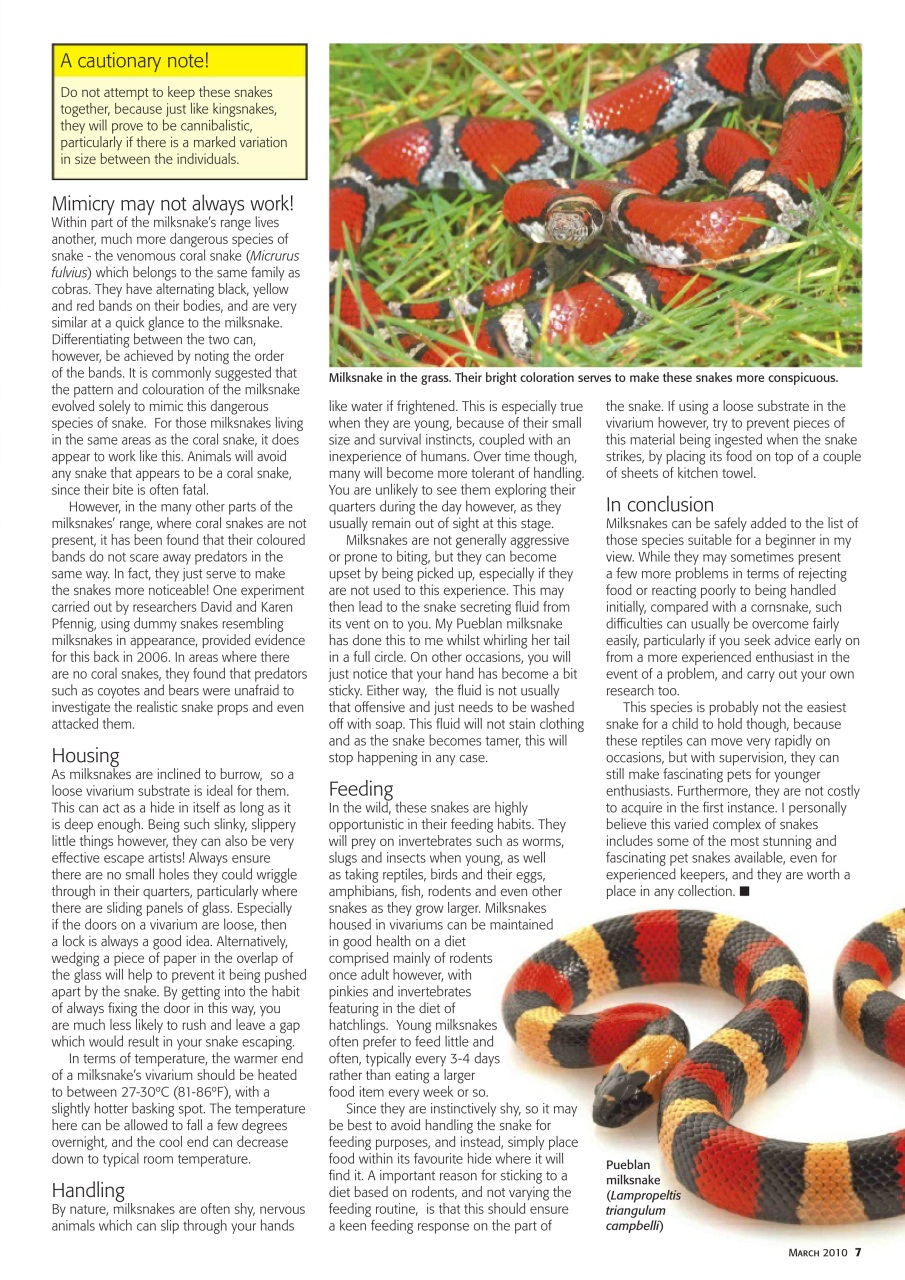 Practical Reptile Keeping Preview Pages