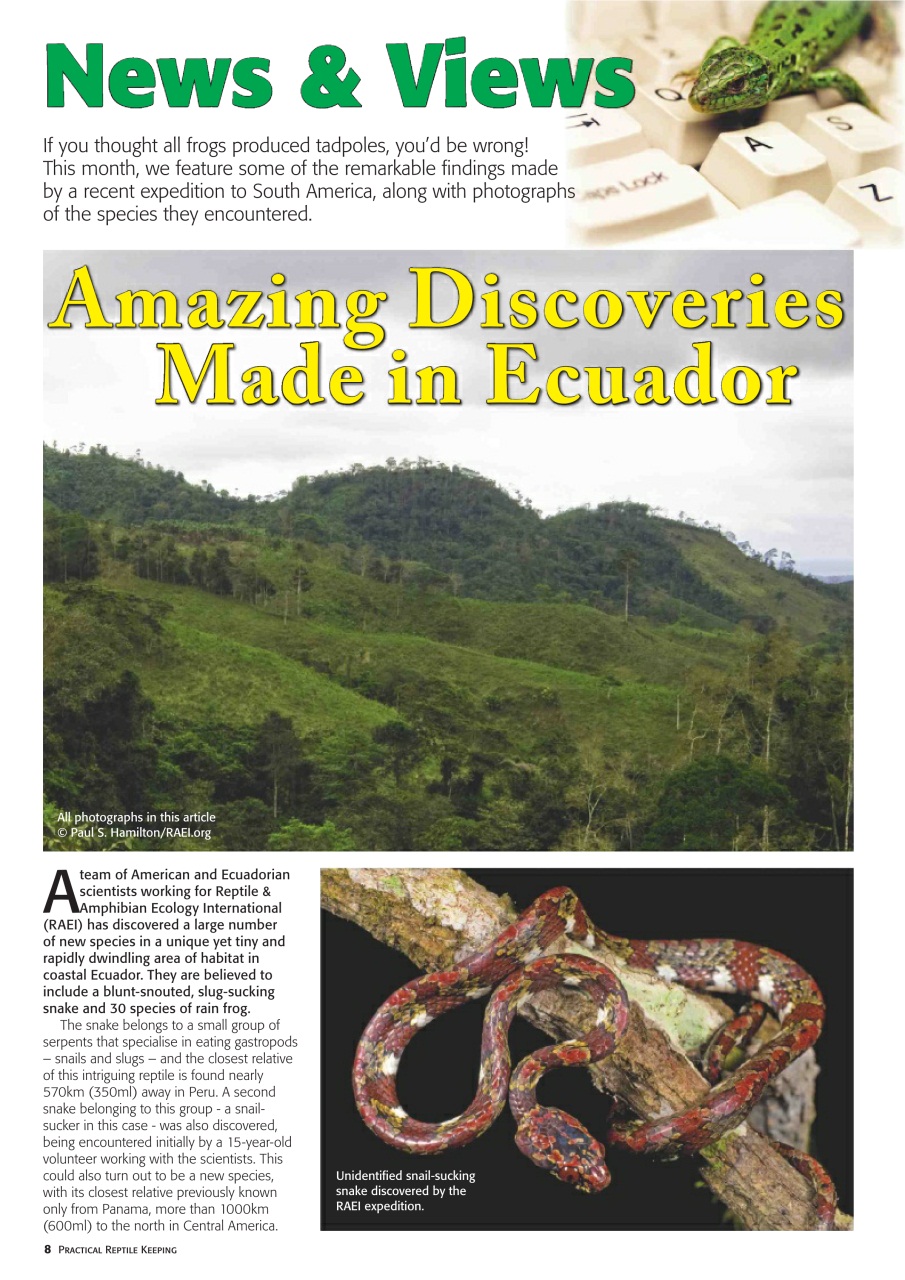 Practical Reptile Keeping Preview Pages