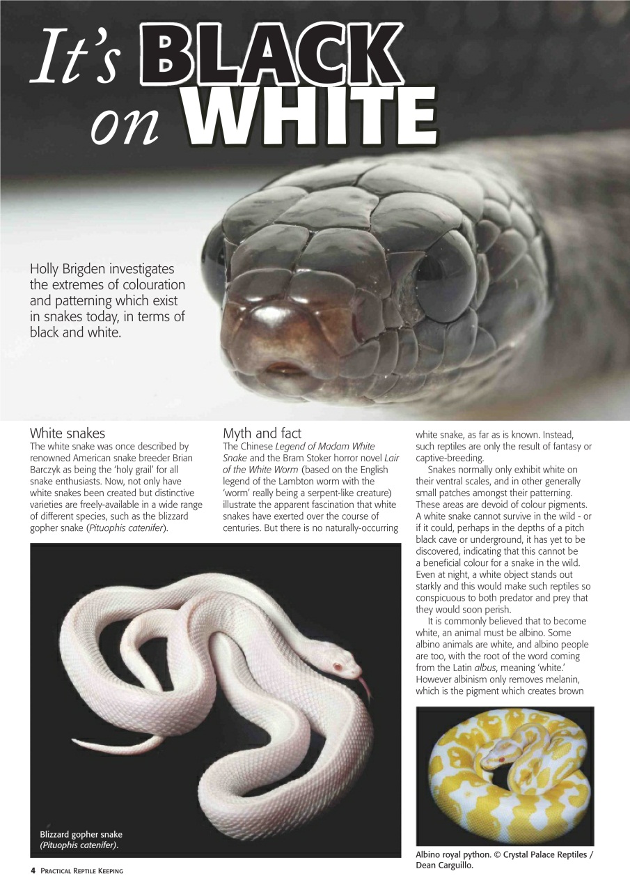 Practical Reptile Keeping Preview Pages