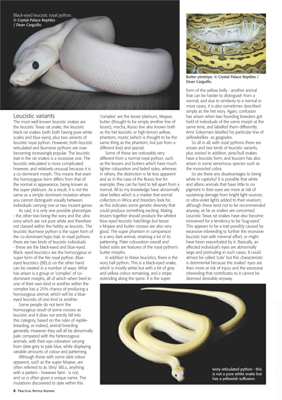 Practical Reptile Keeping Preview Pages