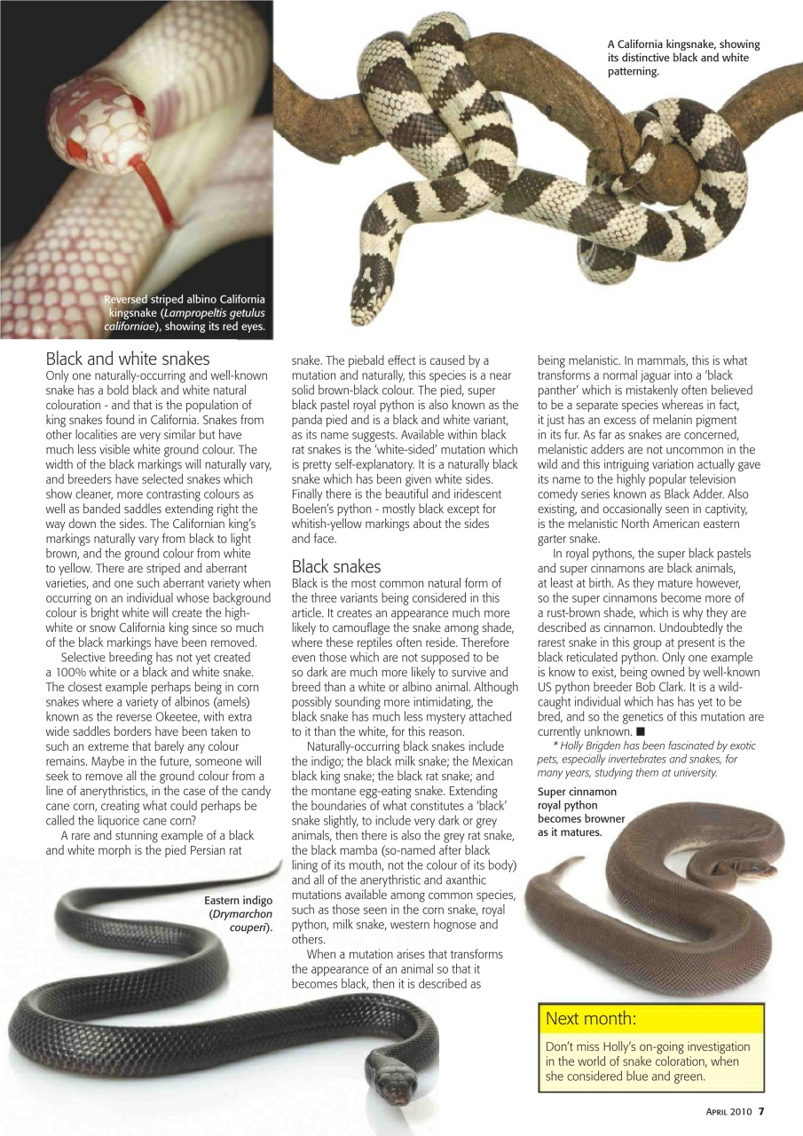 Practical Reptile Keeping Preview Pages