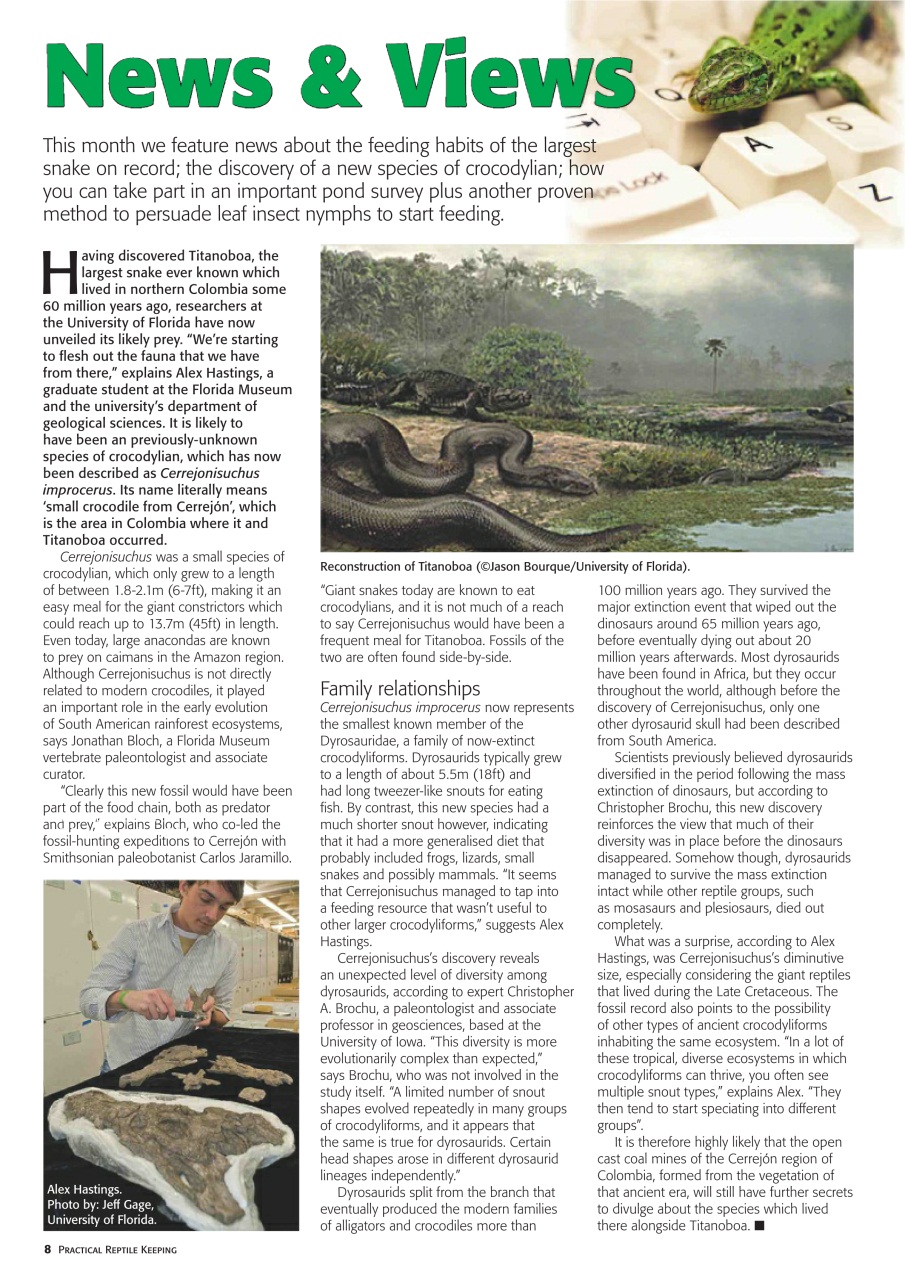 Practical Reptile Keeping Preview Pages